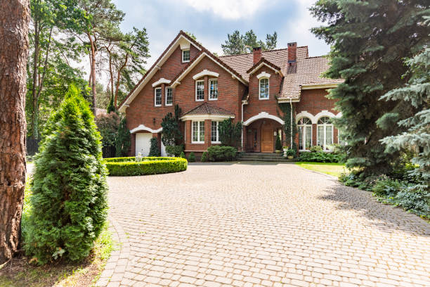 Best Driveway Repair Near Me  in Mounds View, MN