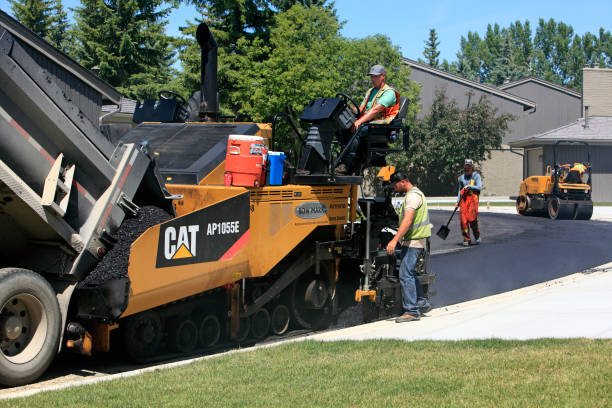 Best Professional Driveway Pavers  in Mounds View, MN