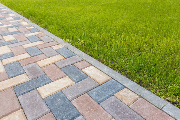 Best Driveway Repair Near Me  in Mounds View, MN